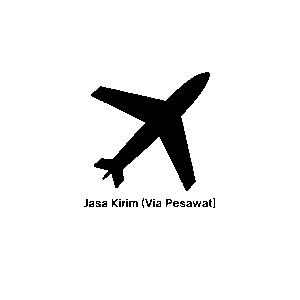 Pengiriman Via Pesawat